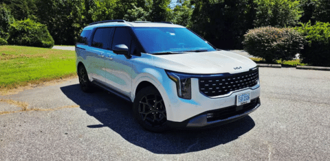 Untitled design (22)